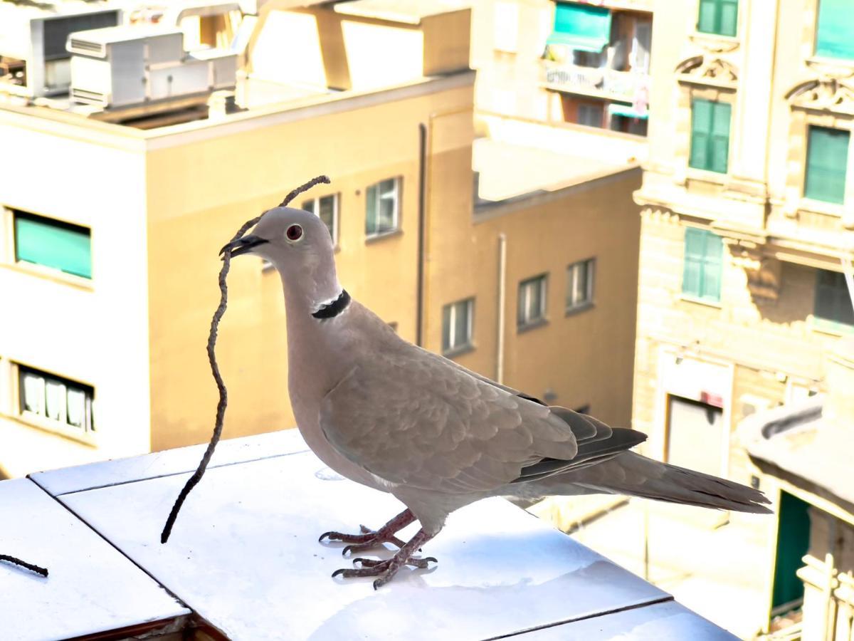 Home Sweet Home Nel Cuore Di Genova المظهر الخارجي الصورة